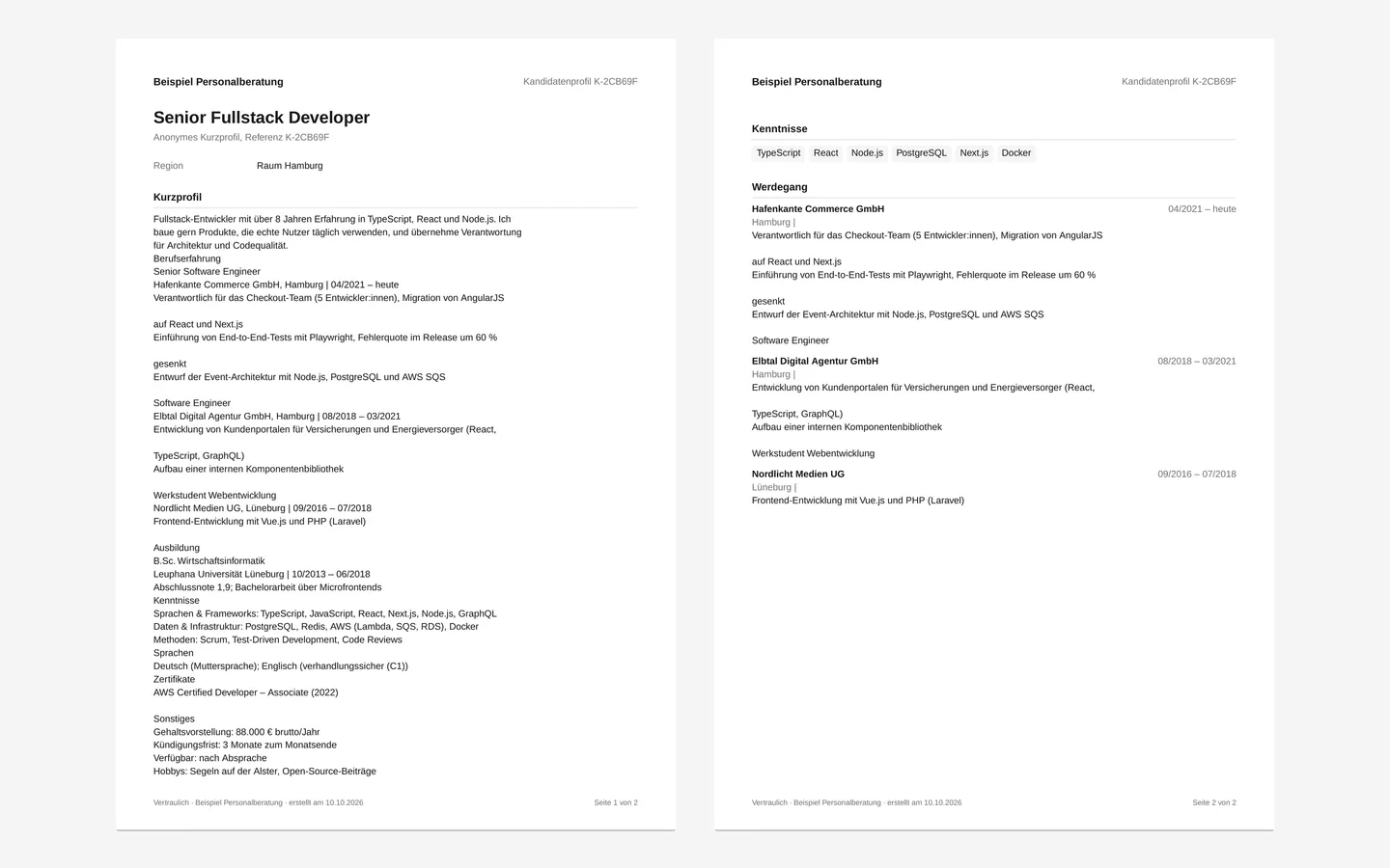 Anonymes Kurzprofil eines Kandidaten (Testdaten)